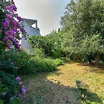 Davorka Apartamento *