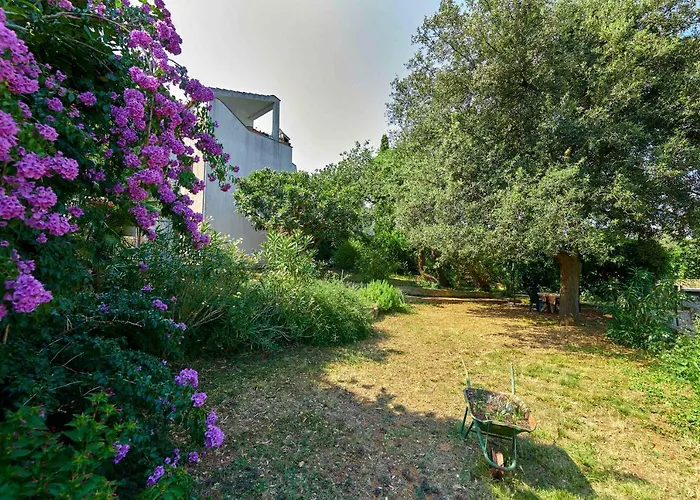 Davorka Apartament *